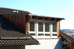 Dachgaube