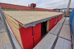 Dachgaube