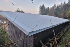 Dachsanierung